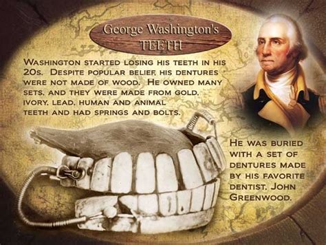 Did You Know That George Washington Did Not Have Wooden Teeth? (Article)