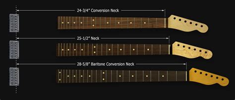 Anatomie De La Guitare Lectrique