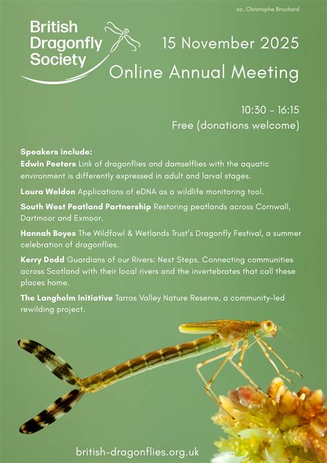 BDS Annual Meeting 2025 - British Dragonfly Society