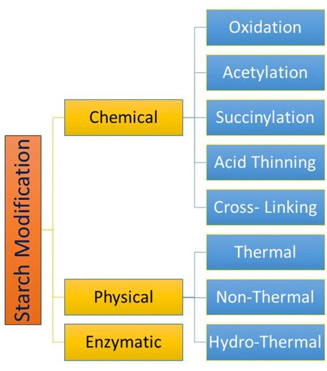 Modification Of Starch By Novel And Traditional Ways Influence On The