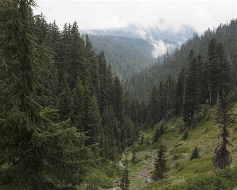 Mount Hood National Forest in Oregon stock photo