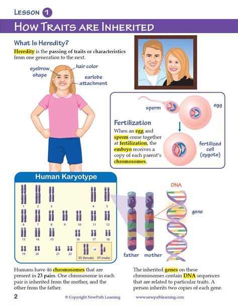 Genetics: Study of Heredity Student Learning Guide w Online Lesson