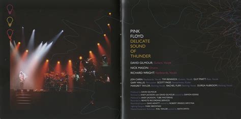 Pink Floyd Delicate Sound Of Thunder Cd Set Pink Floyd