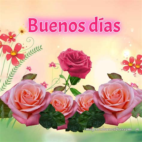 +25 Imágenes Buenos Días con Flores y Rosas 🌹