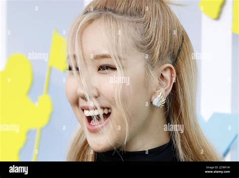 Blackpink rose hi-res stock photography and images - Alamy