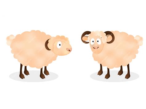 Premium Vector | Cartoon character of two sheep standing