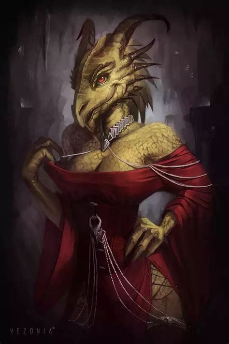 Dragonborn D D Character Dump In Character Art Female