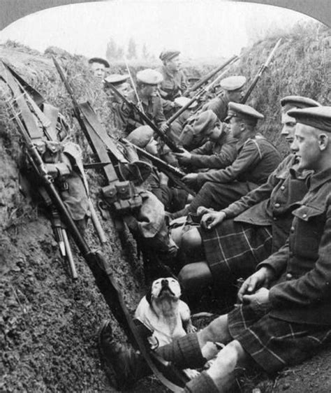 Akaixab Scottish Soldiers Rest In A Trench With Their Pet Dog 1915