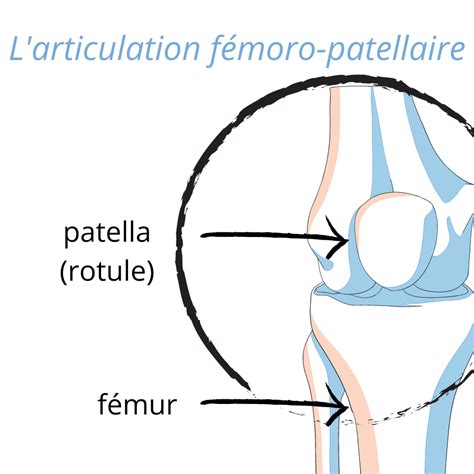 Comment Vivre Avec Un Syndrome Rotulien Bouge Tes Genoux