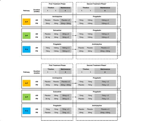 13+ Galliprant Dose Chart - FatemehPanashe