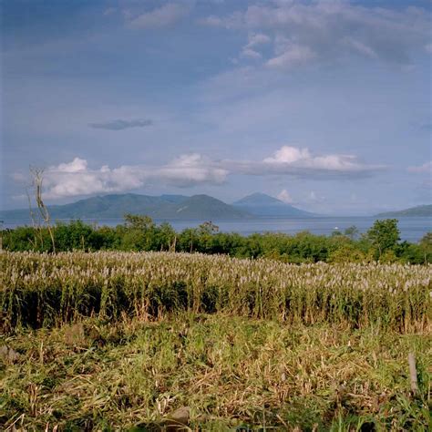 Rediscovering native crops in Indonesia - Positive News - Positive News