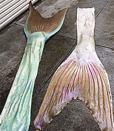 Pin By Susanō On Mermaids And Mermans Realistic Mermaid Tails