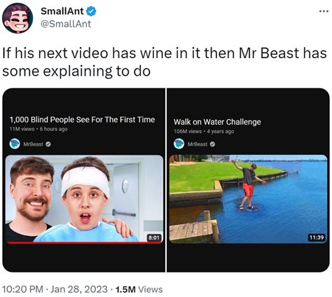 If His Next Video Has Wine In It Then Mr Beast Has Some Explaining To