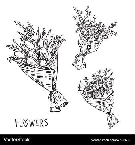 Black and white line drawing flower bouquets Vector Image