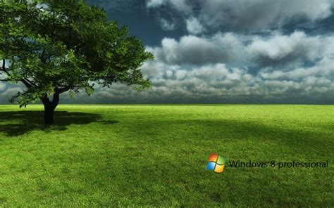 Download Free HD Wallpaper Hd Wallpaper Of Windows 8 - Download