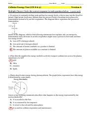 Kami Export Jack Rattey Ch Mcas Question Test Ver A Pdf