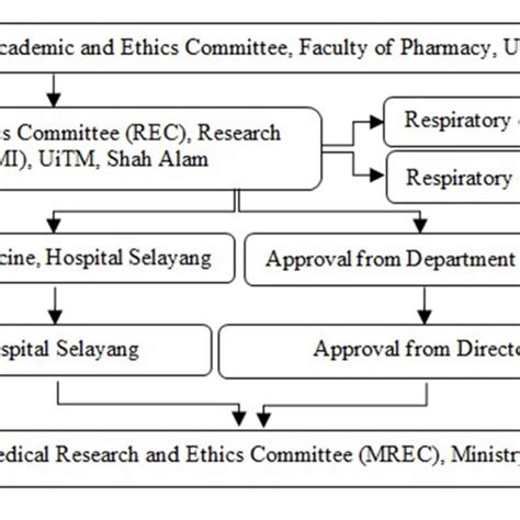 Ethical Approval Procedure Download Scientific Diagram