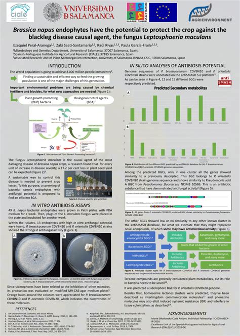 PDF Brassica Napus Endophytes Have The Potential To Protect The Crop