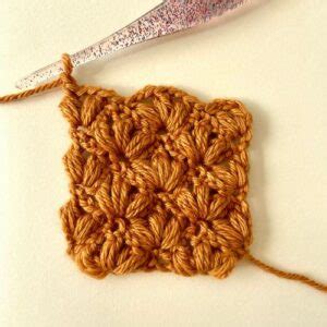 Beautiful Crochet Lotus Stitch FREE Video Tutorial Blue Star Crochet