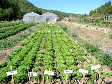 Descobrim lEscola Agrària de Manresa Òmnium Cultural