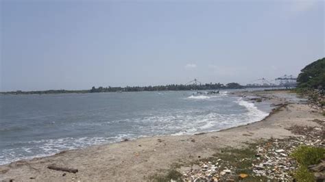 Fort Kochi Beach (Kochi (Cochin)) - 2020 All You Need to Know BEFORE ...