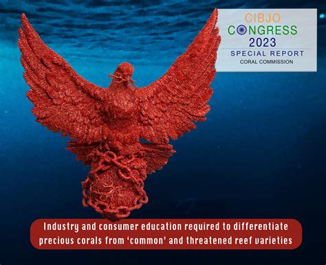 Consumers and industry often conflate precious corals with climate ...