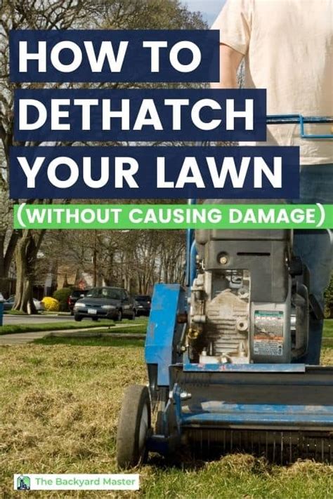 How Often Should You Dethatch Your Yard Why When And How To Dethatch