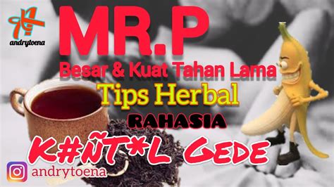 Tips Memperbesar Mr P Cara Herbal Alami Mudah Dibuat Youtube