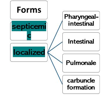 Spec Path Test Diseases Flashcards Quizlet