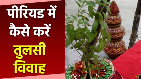 Tulsi Vivah 2022 पीरियड में कैसे करें तुलसी विवाह जानें संपूर्ण विधि