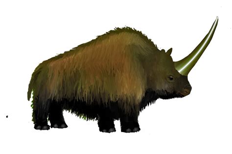 Elasmotherium( edited) by KARPATSKYDRAK on DeviantArt