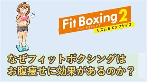 なぜフィットボクシングはお腹痩せに効果があるのか？パークティーぶろぐ