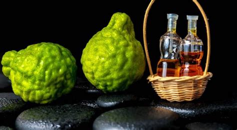 13 Tested Uses And Benefits Of Bergamot Oil