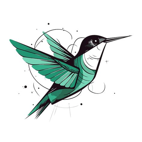 Premium Vector Hummingbird Hand Drawn Vector Illustration Isolated On