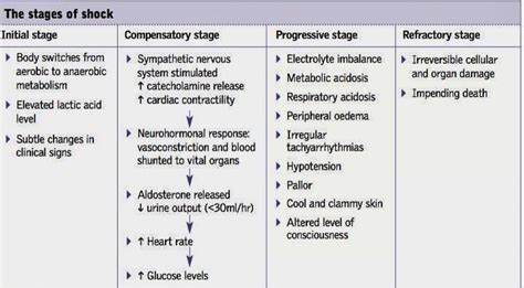 The Stages Of Shock Medizzy