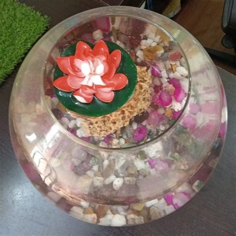 Glass Fish Bowl, Size: 15inch(D) at Rs 200/piece in Guwahati | ID: 2850212063230