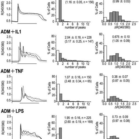 Factors Affecting The Astrocytic Calcium Response Calcium Responses Of