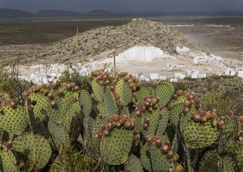 ¿por Qué México Es Un País Megadiverso Tips Para Tu Viaje