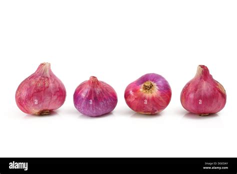 Red Onions Isolated On White Stock Photo Alamy