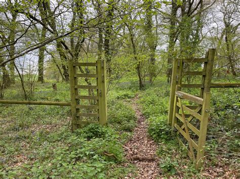 Former Pheasant Pen Mr Ignavy Cc By Sa Geograph Britain And