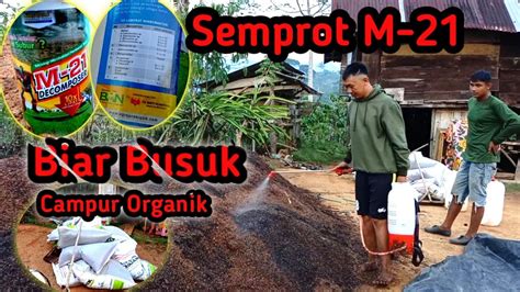 Permentasi Dedak Kopi Pupuk Kompos Youtube