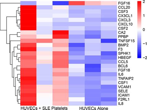 Activated Platelets Induce Endothelial Cell Activation Via An