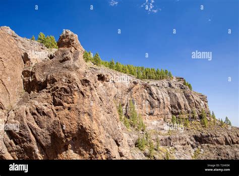 Gran Canaria March View From An Old Hiking Path Camino De La Plata