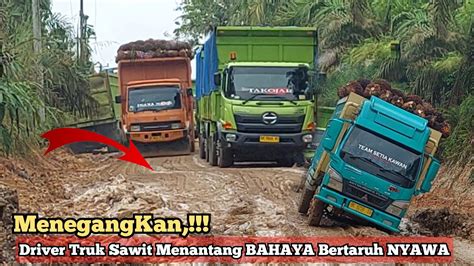 Driver Truk Sawit Nekat Menantang Bahaya Bertaruh NYAWA Dijalan Sempit