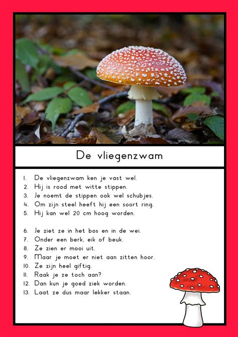 Leesteksten Paddenstoelen Klas Van Juf Linda