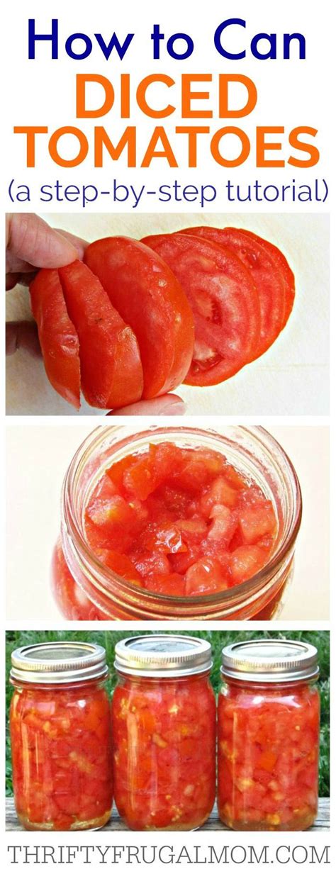 How To Can Diced Tomatoes A Step By Step Tutorial Artofit