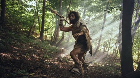 Caveman Hunting Stock Photos, Pictures & Royalty-Free Images - iStock