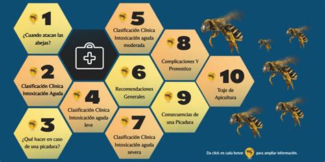 Campaña Octubre Prevencion Picaduras De Abejas