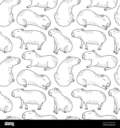 Cute Capybara Seamless Pattern Stock Vector Image Art Alamy