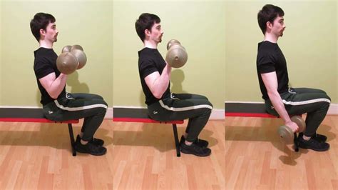 Seated Zottman Curl Tutorial and Advantages